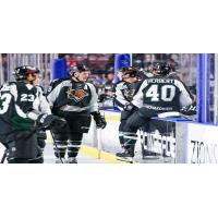 Utah Grizzlies discuss the game with their bench