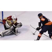 Greenville Swamp Rabbits forward Johno May prepares to shoot against the Atlanta Gladiators
