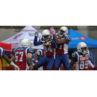 Montreal Alouettes celebration
