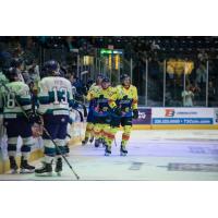Florida Everblades take the ice in SpongeBob SquarePants uniforms