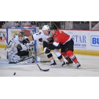Adirondack Thunder LW Peter MacArthur (16) vs. the Newfoundland Growlers