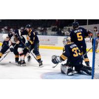 Norfolk Admirals vs. the Greenville Swamp Rabbits