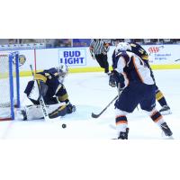 Greenville Swamp Rabbits take a shot against the Norfolk Admirals