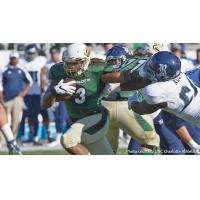 RB Kalif Phillips with UNC Charlotte