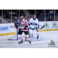 Adirondack Thunder forward James Henry vs. the Worcester Railers