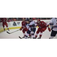 South Carolina Stingrays defenseman Mike Chen vs. the Allen Americans