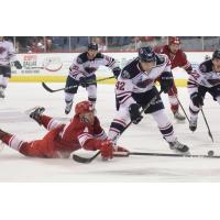 Spencer Asuchak of the Allen Americans hits the ice against the South Carolina Stingrays