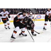 Medicine Hat Tigers battle the Calgary Hitmen