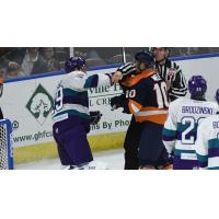 Orlando Solar Bears and Greenville Swamp Rabbits exchange pleasantries