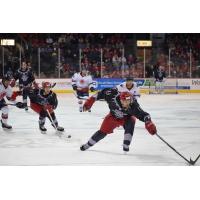 The Allen Americans race for a puck against the South Carolina Stingrays