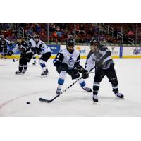 Utah Grizzlies vs. the Wichita Thunder