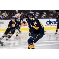 Norfolk Admirals skate against the Greenville Swamp Rabbits