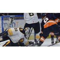 Greenville Swamp Rabbits forward Jordan Sims tries to get past the Norfolk Admirals goaltender