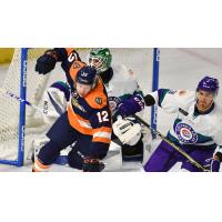 Greenville Swamp Rabbits forward Johno May vs. the Orlando Solar Bears