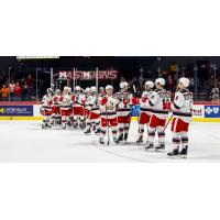 Grand Rapids Griffins lineup