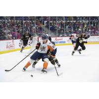 Flint Firebirds vs. the Sarnia Sting in the School Day Game