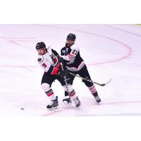 Adirondack Thunder forward Shane Conacher vs. the Brampton Beast