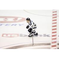 Wheeling Nailers forward Zac Lynch