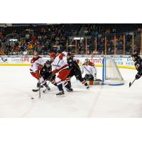 Allen Americans battle the Kansas City Mavericks