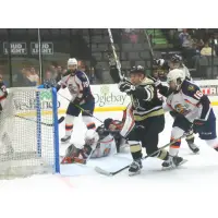 Wheeling Nailers celebrate a goal against the Greenville Swamp Rabbits