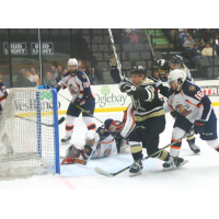 Wheeling Nailers celebrate a goal against the Greenville Swamp Rabbits