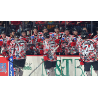 Binghamton Devils celebrate with the bench