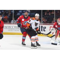 Lehigh Valley Phantoms LW Greg Carey vs. the Springfield Thunderbirds