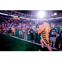 Georgia Swarm defenseman Alex Crepinsek enters the field