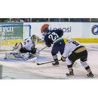 Maine Mariners forward Alex Kile against the Newfoundland Growlers
