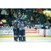 Florida Everblades celebrate a goal