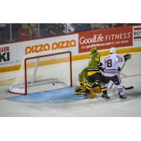 Niagara IceDogs LW Matthew Philip tests the North Bay Battalion goaltender