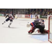 Macon Mayhem vs. the Knoxville Ice Bears