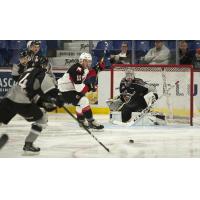 Vancouver Giants goaltender David Tendeck readies for the Prince George Cougars