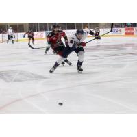 Macon Mayhem vs. the Huntsville Havoc