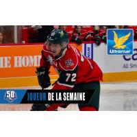 Halifax Mooseheads center Samuel Asselin
