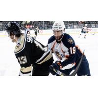 Greenville Swamp Rabbits defenseman Jake Bolton (19) vs. the Wheeling Nailers