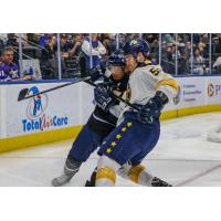 Norfolk Admirals battle with the Jacksonville Icemen