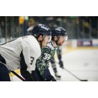 Florida Everblades forward Joe Cox (39)