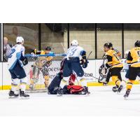 Wheeling Nailers vs. the Toledo Walleye