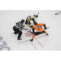 Lehigh Valley Phantoms C Phil Varone in a faceoff