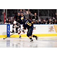 Norfolk Admirals vs. the Greenville Swamp Rabbits