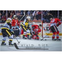 Niagara IceDogs vs. the Hamilton Bulldogs