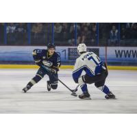 Sioux Falls Stampede defenseman Ryan Johnson (7) vs. the Lincoln Stars