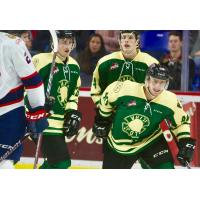 Milos Roman and the Vancouver Giants celebrate a goal vs. the Regina Pats