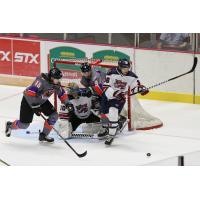Macon Mayhem fend off the Knoxville Ice Bears