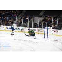 Florida Everblades score on the Atlanta Gladiators