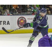 Maine Mariners in action