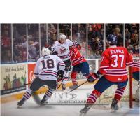 Niagara IceDogs vs. the Oshawa Generals