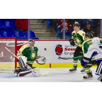 Vancouver Giants goaltender Trent Miner vs. the Victoria Royals