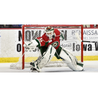 Iowa Wild goaltender Kaapo Kahkonen